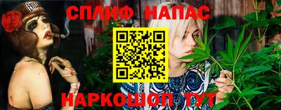 2c-b Гатчина