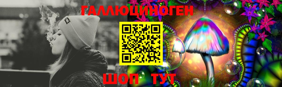 Новотроицк  Псилоцибиновые грибы мицелий  Вход с VPN 